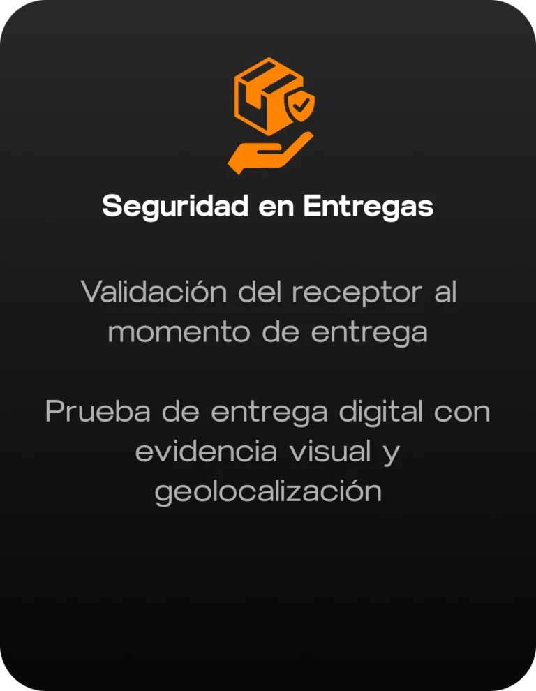seguridad_card_3 (1)